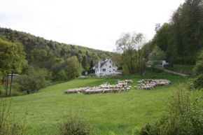 B&B Arlesbrunnen, Egloffstein